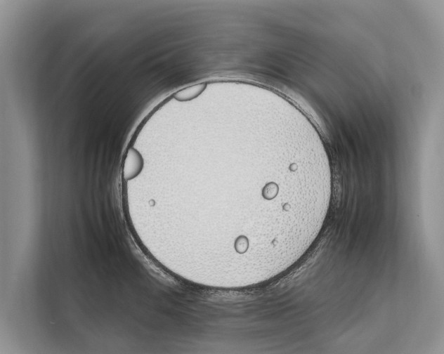 X0000112171100200909181408