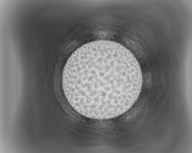 X0000112171105200909181407