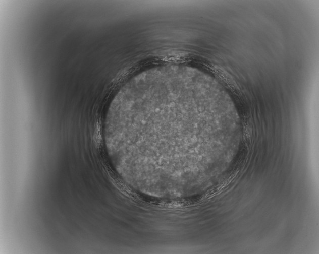 X0000112171106200909181407