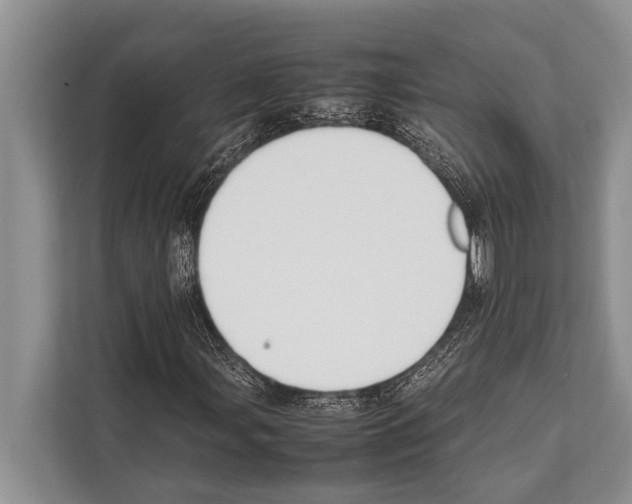 X0000112171107200909181407