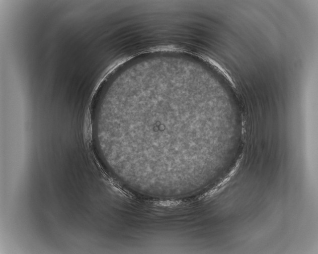 X0000112171117200909181407