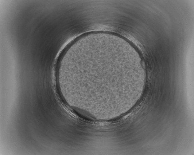 X0000112171120200909181407