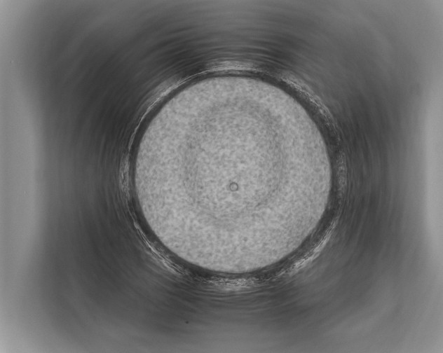 X0000112171121200909181407