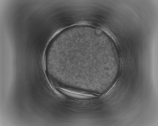 X0000112171127200909181408