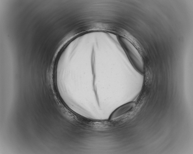 X0000112171138200909181408