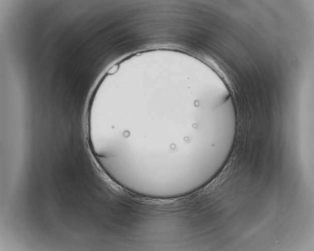 X0000112171140200909181408