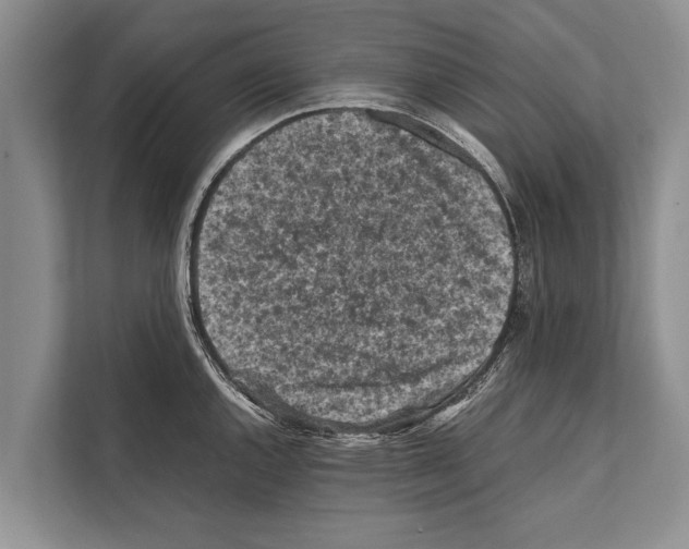 X0000112171144200909181408