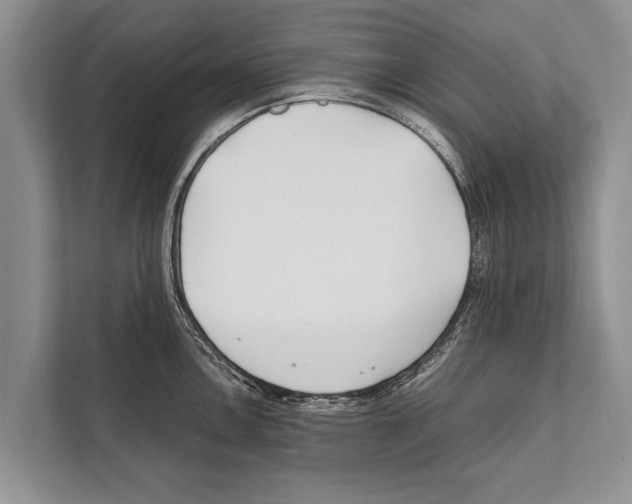 X0000112171146200909181408