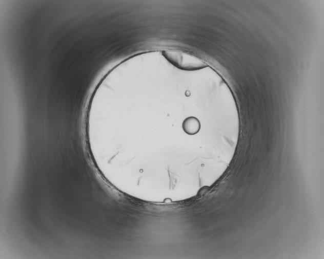 X0000112171152200909181408