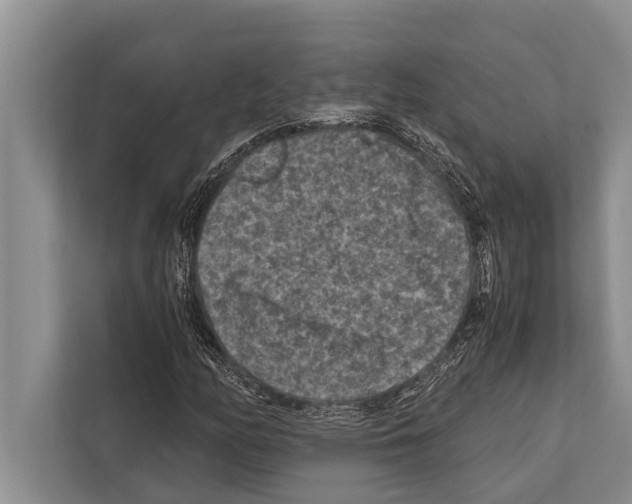 X0000112171158200909181407