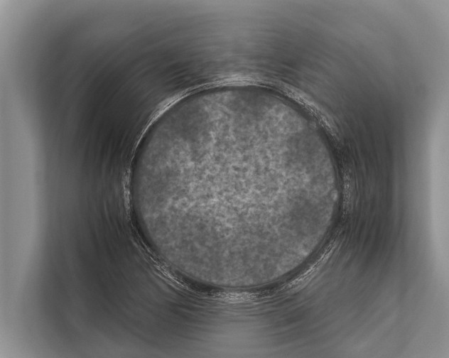 X0000112171170200909181407