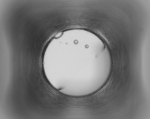 X0000112171173200909181407