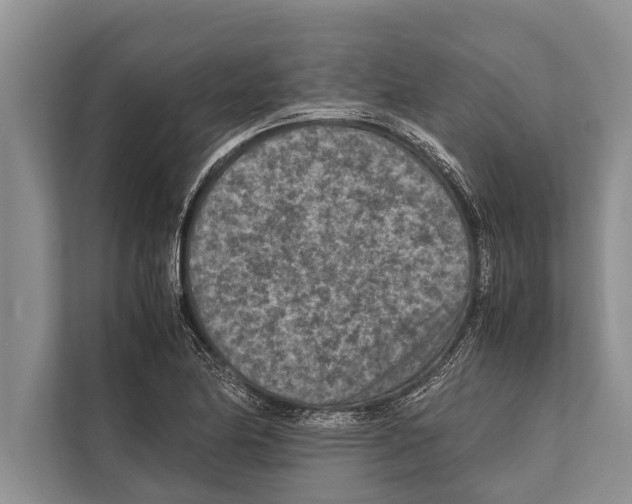 X0000112171174200909181407