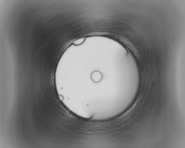 X0000112171177200909181407