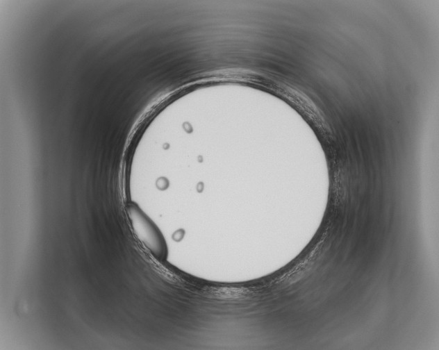 X0000112171180200909181407