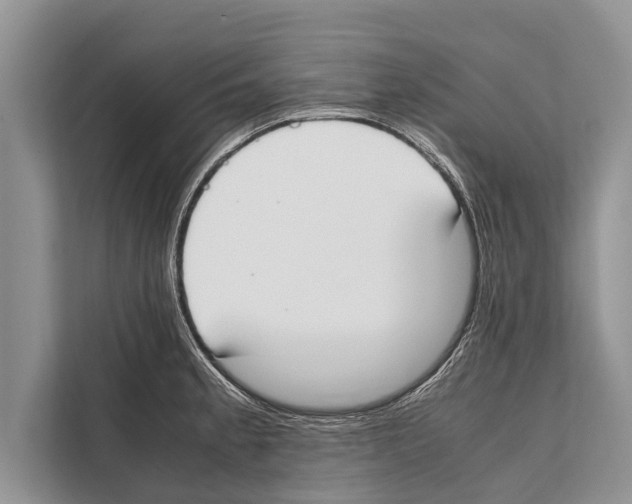 X0000112171189200909181407