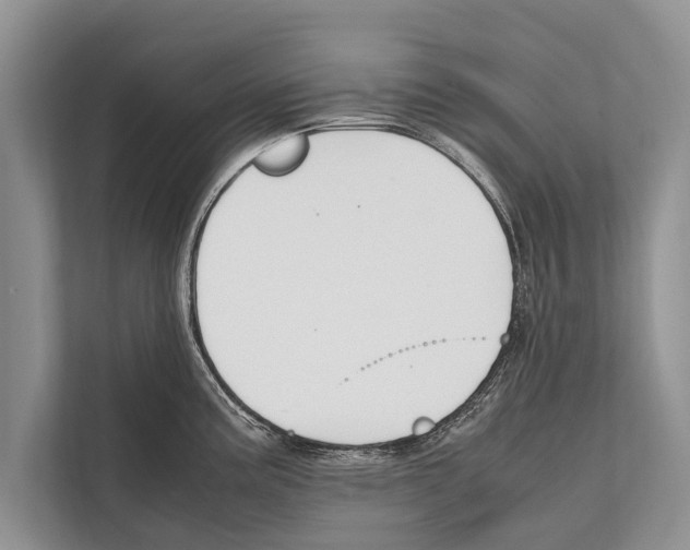 X0000112171195200909181407