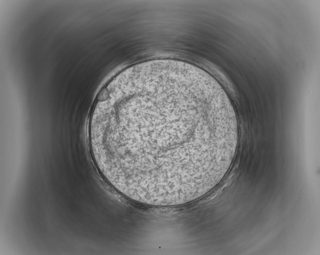 X0000112171198200909181407