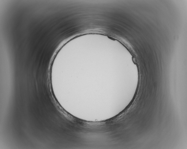 X0000112171200200909181407