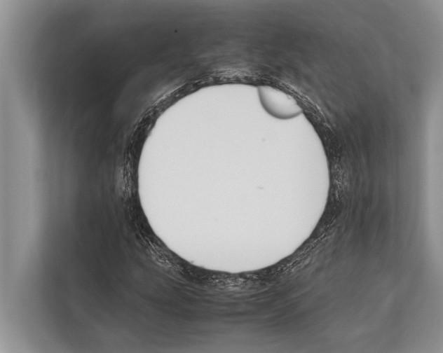 X0000112171207200909181406