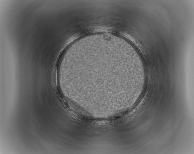 X0000112171219200909181406