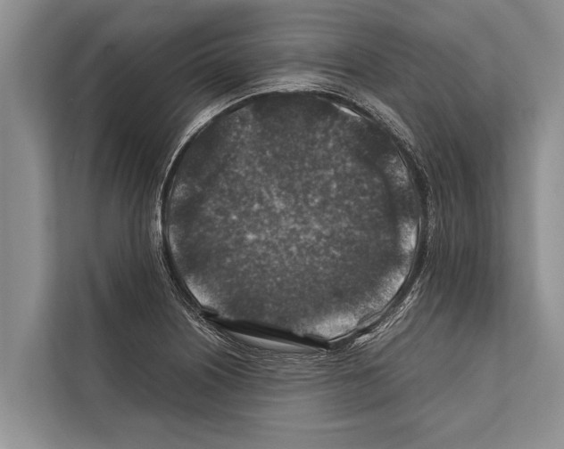 X0000112171226200909181406