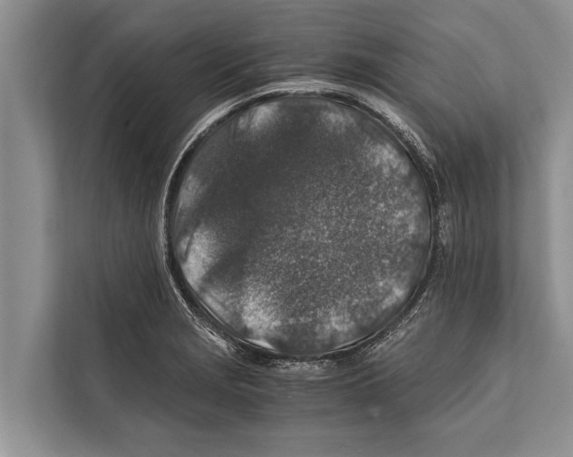 X0000112171229200909181406