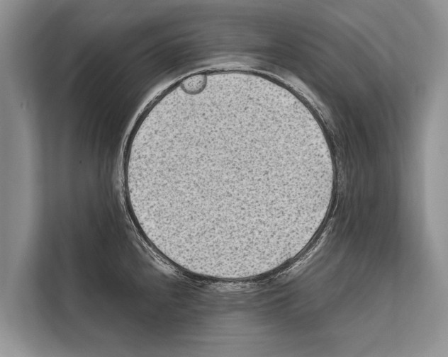 X0000112171240200909181407