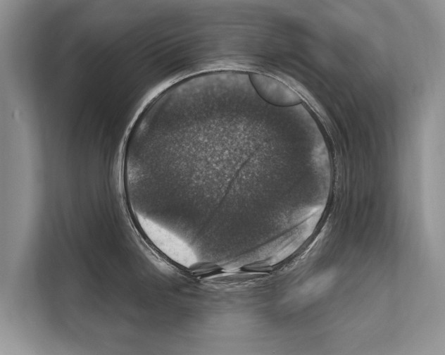 X0000112171246200909181407