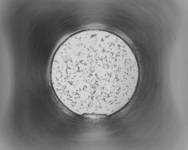 X0000112171248200909181407