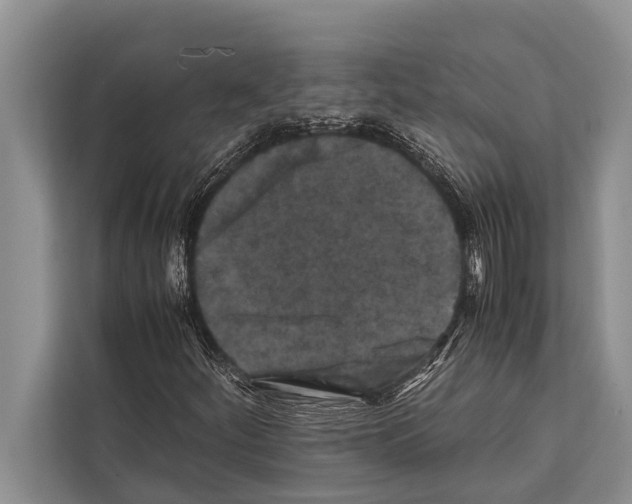 X0000112171252200909181406