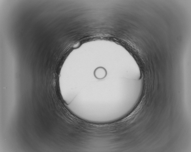 X0000112171257200909181406