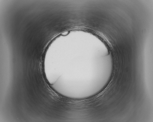 X0000112171260200909181406