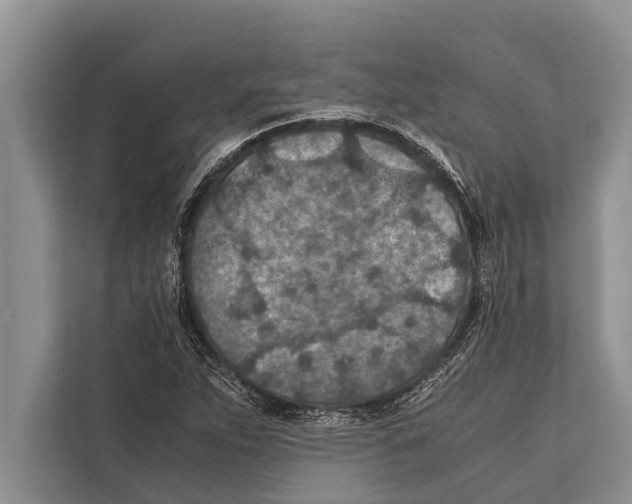 X0000112171263200909181406