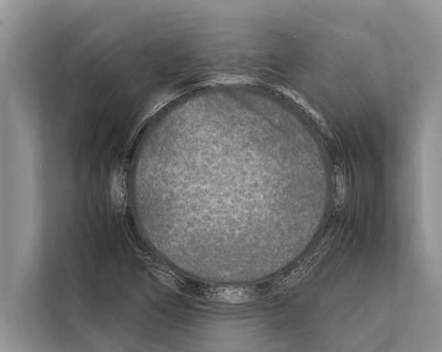 X0000112171266200909181406