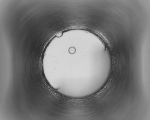 X0000112171268200909181406