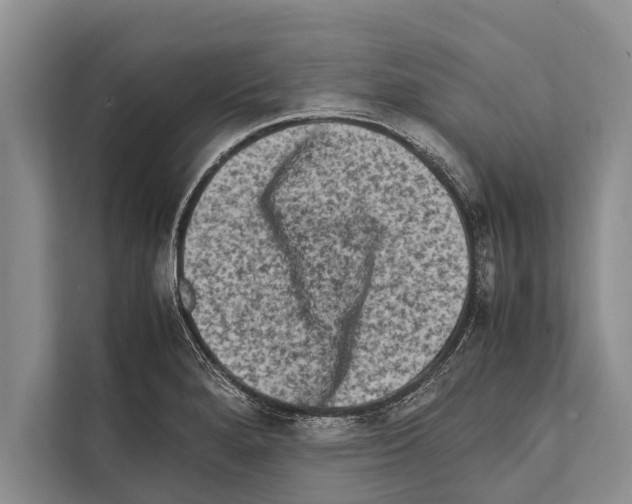 X0000112171280200909181406