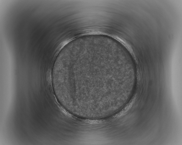 X0000112171289200909181405