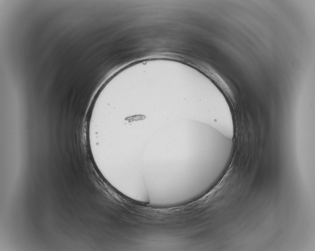 X0000112171292200909181405