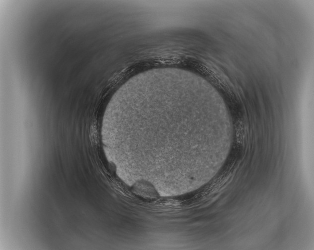 X0000112171298200909181405