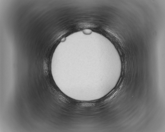 X0000112171305200909181405