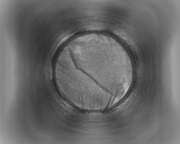 X0000112171306200909181405