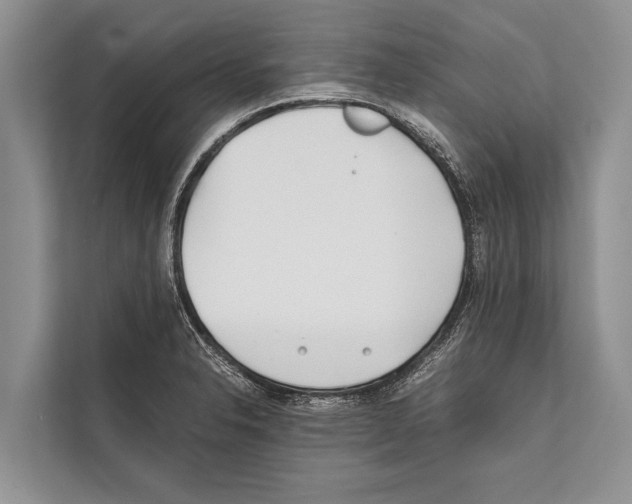 X0000112171326200909181405