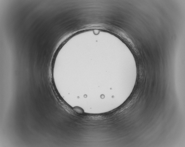 X0000112171328200909181405