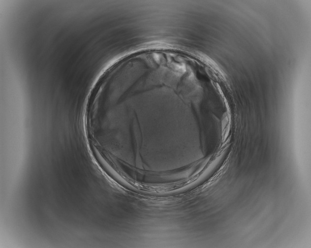 X0000112171334200909181405