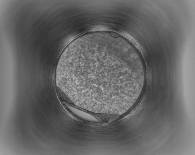 X0000112171337200909181405