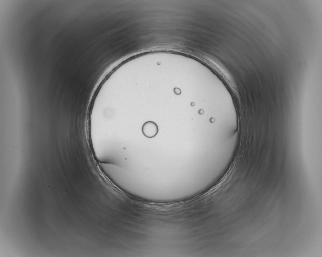 X0000112171340200909181405