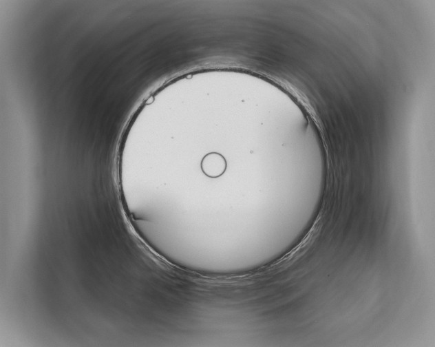 X0000112171342200909181405