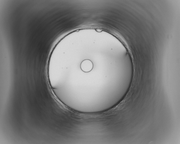 X0000112171344200909181405