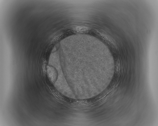 X0000112171346200909181405